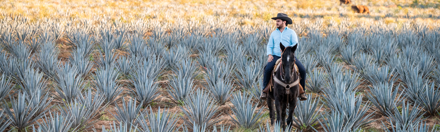 Bruno Barba - Master Distiller Marcado 28